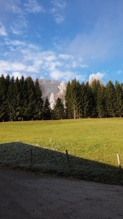 Apartment Knablhof Sankt Martin am Tennengebirge Ruang foto