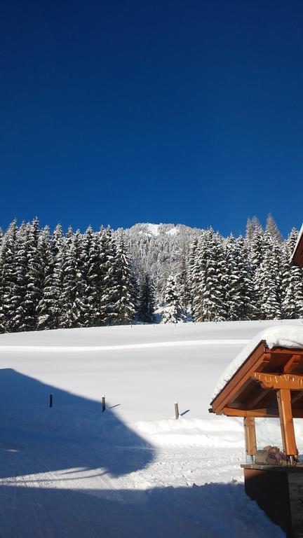Apartment Knablhof Sankt Martin am Tennengebirge Ruang foto