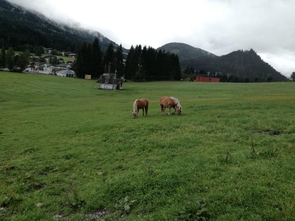 Apartment Knablhof Sankt Martin am Tennengebirge Bagian luar foto