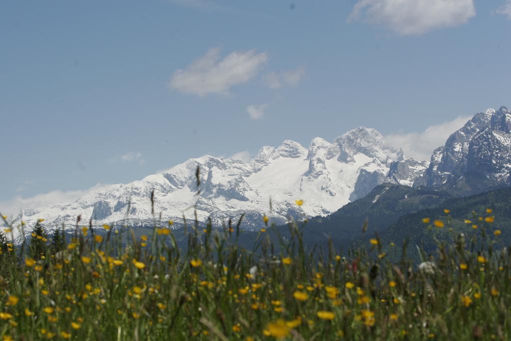 Apartment Knablhof Sankt Martin am Tennengebirge Bagian luar foto